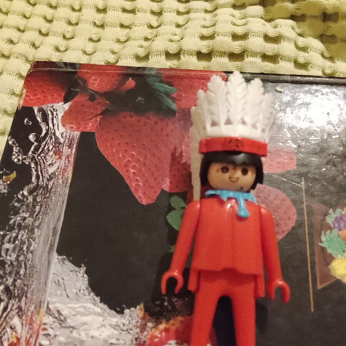 Playmobil Indian 1980 used, old code