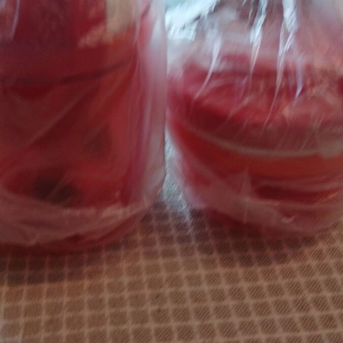 Tupperware Hand Mixer new