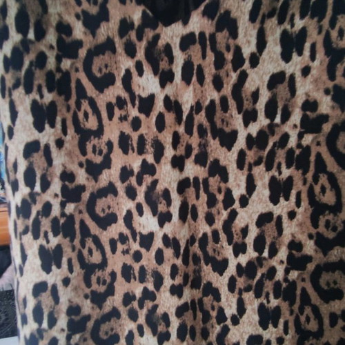 Zara lingerie-style double strap small top used