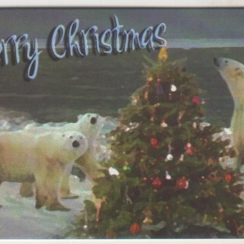 Parthenon commemorative card Christmas at North Pole new, 500 copies
