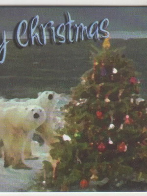 Parthenon commemorative card Christmas at North Pole new, 500 copies