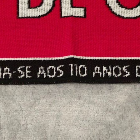 Official SL Benfica 110 Years Anniversary Scarf like new