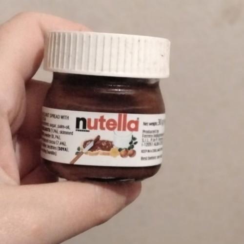 Mini Nutella decorative collectible new