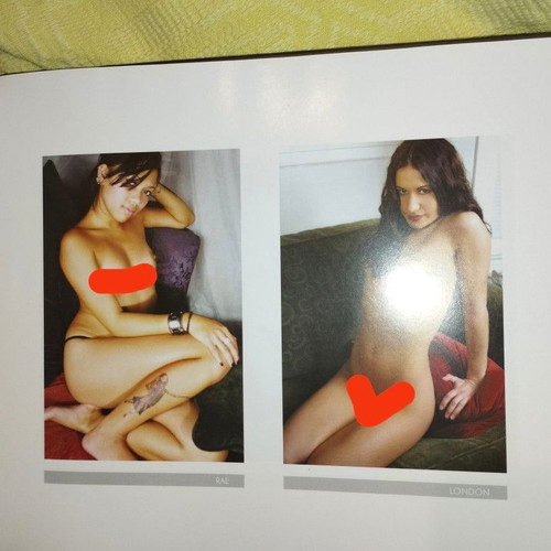 SuicideGirls book like new, English, photography and art