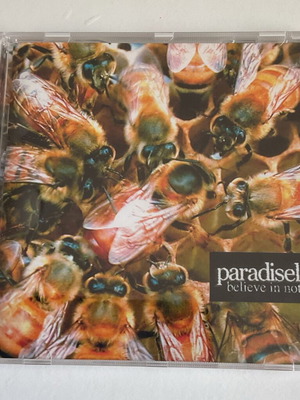 Paradise Lost Believe in Nothing CD used, very good condition