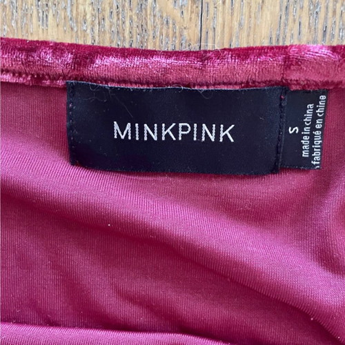 Velvet mini dress Minkpink used, size Small, Cherry Blossom model