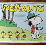 Peanuts comic like new