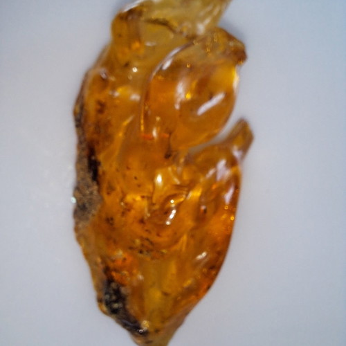 Baltic amber with insects, new, 51.48 g, millions of years old