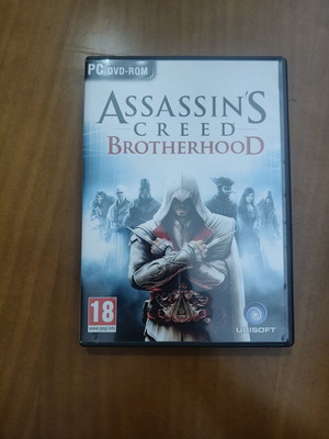 Assassin's Creed Brotherhood PC game