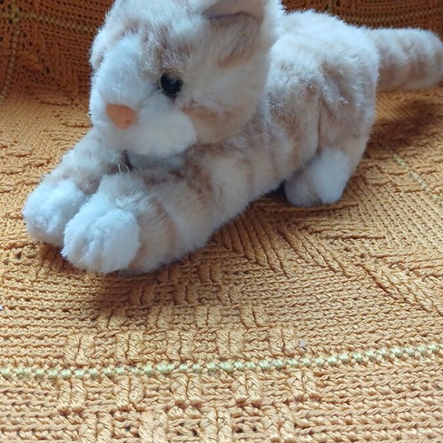 Plush Cat With Music Used