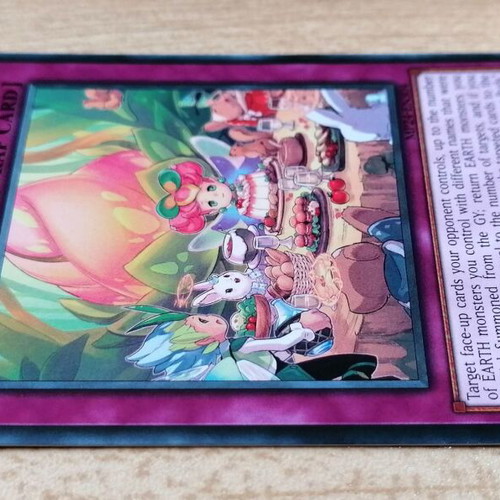 Yu-Gi-Oh! Vernusylph and the Flower Buds 1st Edition Common Near Mint