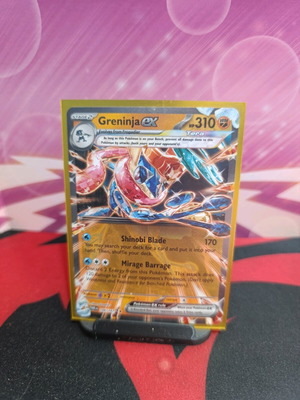GRENINJA EX (TWM 106/167)