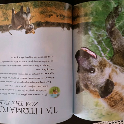 The Animals of Africa children's book National Geographic like new