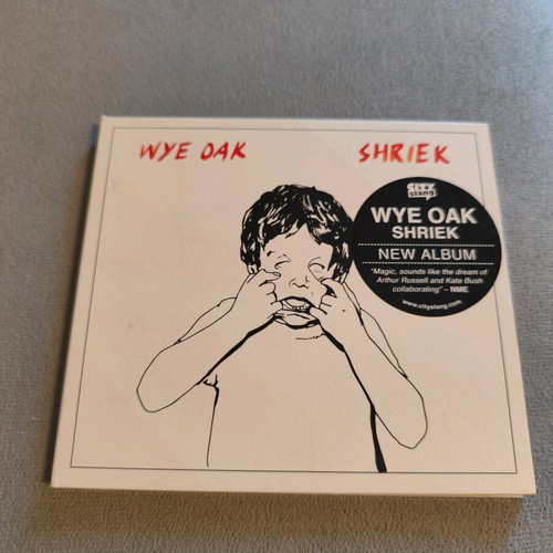 Wye Oak Shriek CD like new, rock