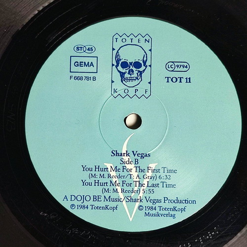 Shark Vegas You Hurt Me vinyl used, electronic music