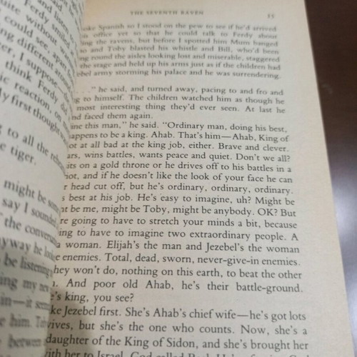 The Seventh Raven book by Peter Dickinson, Puffin Plus series