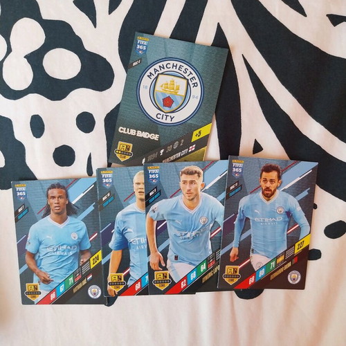 Fifa Panini Adrenalyn 2024 cards like new, 205+ pieces