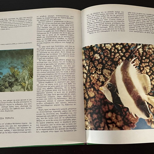 Children's Book The Secrets of Animals like new, Greek