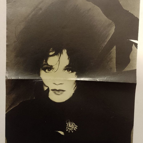Elpida & Rick Astley poster used, Katerina magazine