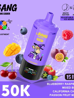 S.BANG LEADER 450K disposable vape with mixed berry flavor