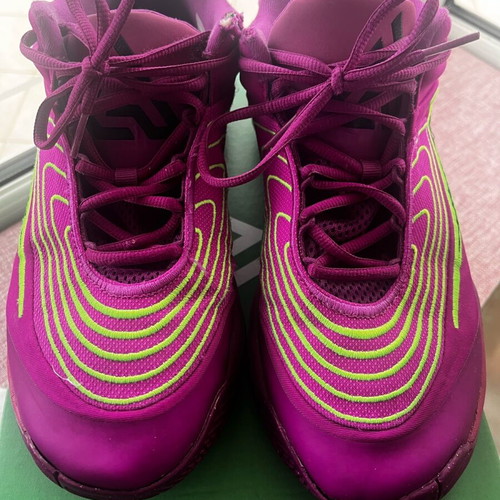 Nike Giannis Immortality athletic shoes used, size 45.5, green and purple