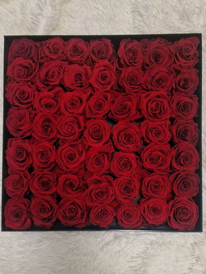 Forever Roses Plexiglass Box with 49 Red Roses like new