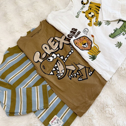 Boys Sweatshirts Set of 3 Size 116cm H&M Like New