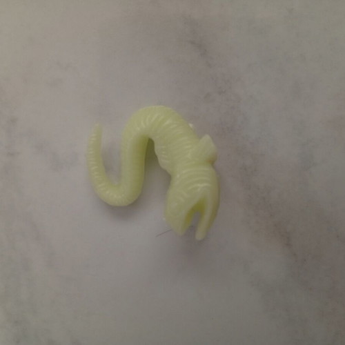 Plastic tiny fish lure