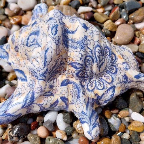 Decoupage shell like new with matte finish on natural shell