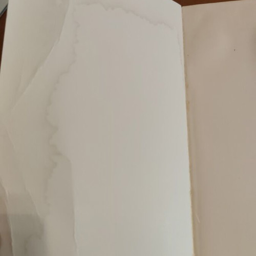 Gaston Leroux The Phantom of the Opera book