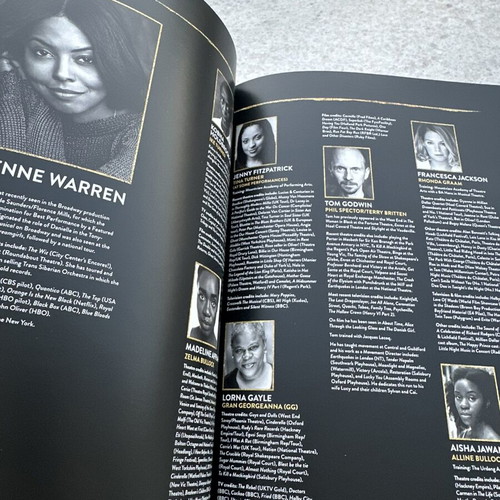 The Tina Turner Musical souvenir program like new