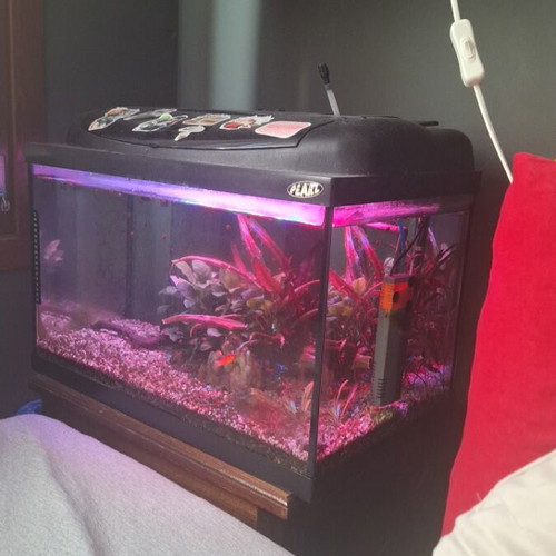 Aquarium used 50 liters fully equipped with LED and filter