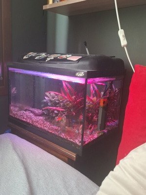 Aquarium used 50 liters fully equipped with LED and filter