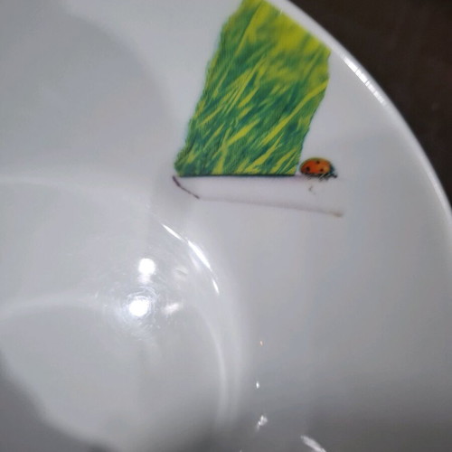 Illusion Fine Porcelain bowl set 2 pieces like new