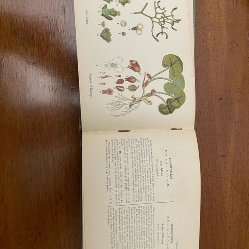 A.Masclef “Les Plantes d’Europe” βιβλίο φυτολογίας σαν καινούργιο, γαλλικά
