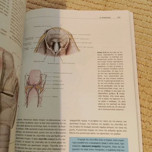 Clinical Anatomy II used