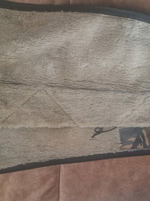 Gun case used