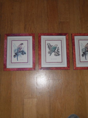 Engraving-style bird plaques like new, set of 4 pieces