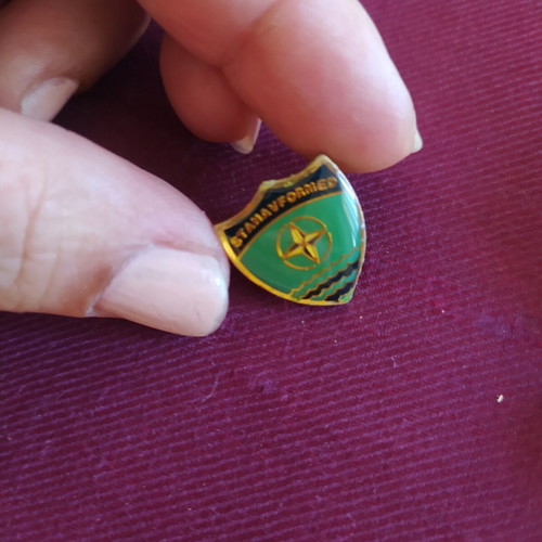 Vintage NATO lapel pin used, STANAVFORMED badge