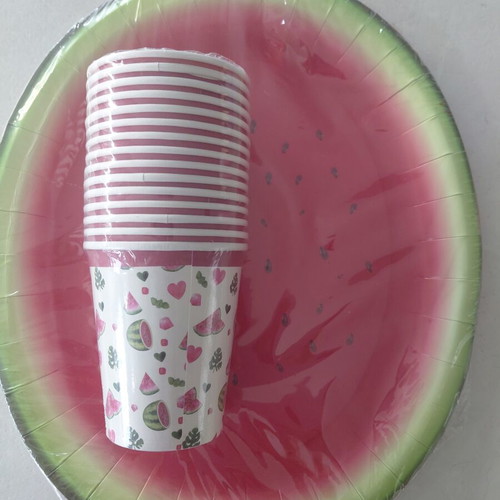 Watermelon paper plates and cups set