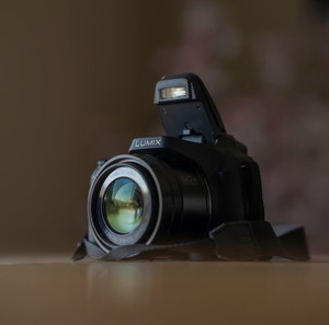Panasonic Lumix DC-FZ82 Compact Φωτογραφική Μηχανή Οπτικού Ζουμ 60x με Οθόνη 3" Ανάλυση Video 4K UHD