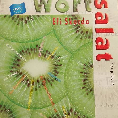 Wortsalat Hauptbuch Kursbuch German language learning book B2-C1