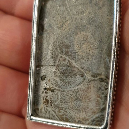 Fossil coral pendant necklace new, silver plated, handmade