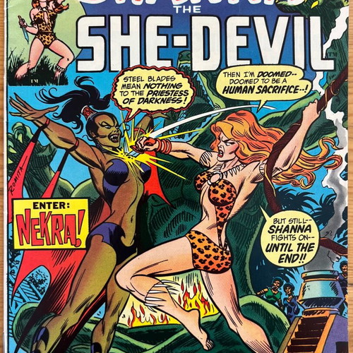Shanna the She-Devil No.5 used comic Marvel Comics Group