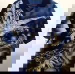 Eagle-dragon shirt