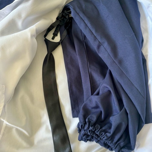Pilot carnival costume used