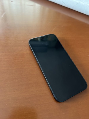 Apple iPhone 13 mini 128GB with Spigen case