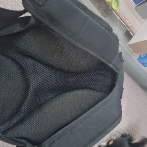 Children's hard backpack used with panda design