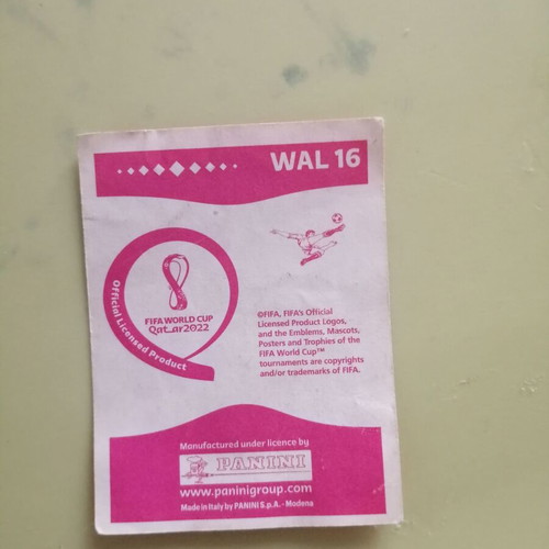 Gareth Bayle #16 sticker Panini FIFA World Cup Qatar 2022 new