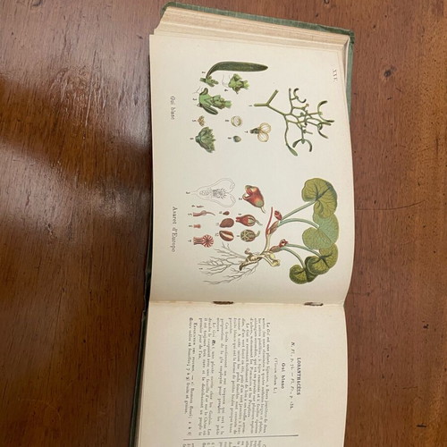 A.Masclef “Les Plantes d’Europe” βιβλίο φυτολογίας σαν καινούργιο, γαλλικά